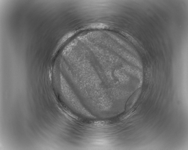 X0000051890064200507222027