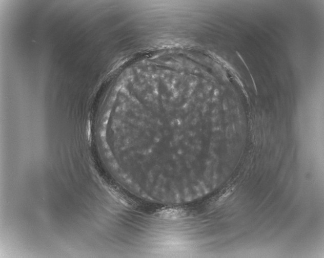 X0000051890067200507222027