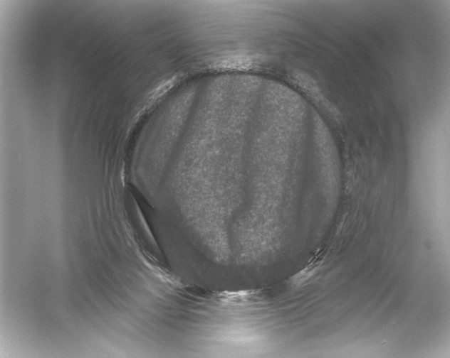 X0000051890068200507222027