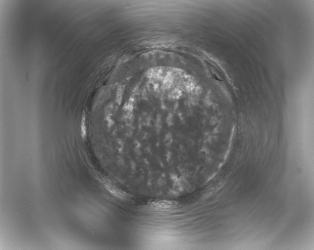 X0000051890069200507222027