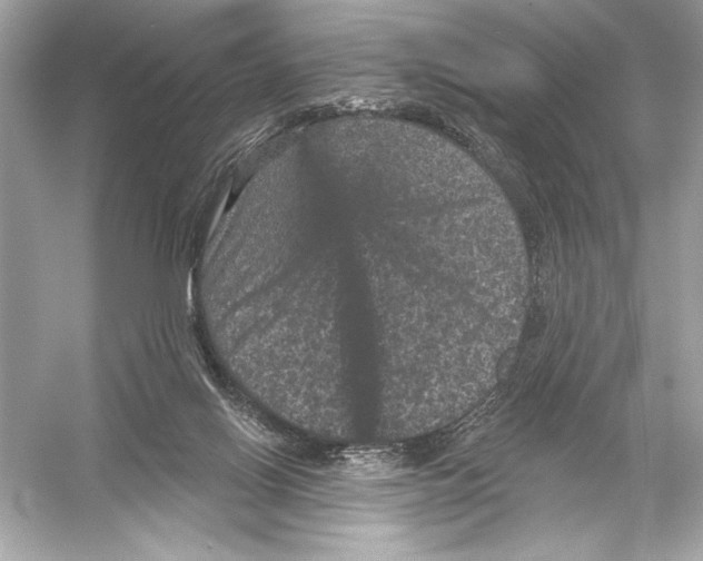 X0000051890070200507222027