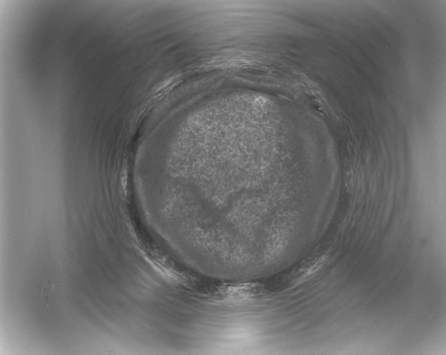 X0000051890072200507222027