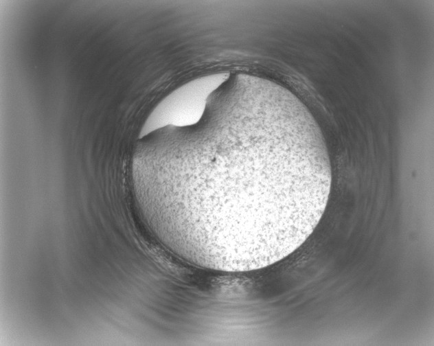 X0000051890073200507222027