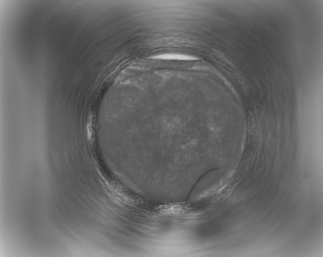 X0000051890074200507222027