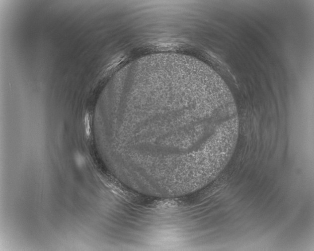 X0000051890075200507222027