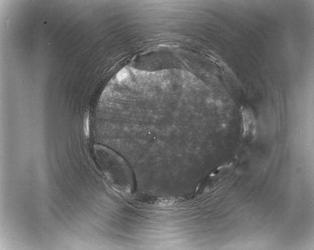 X0000051890076200507222027