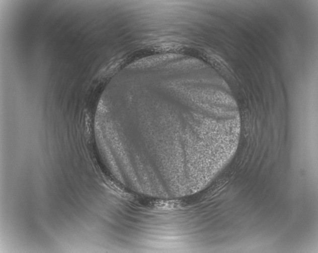 X0000051890077200507222027