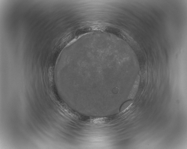 X0000051890078200507222027