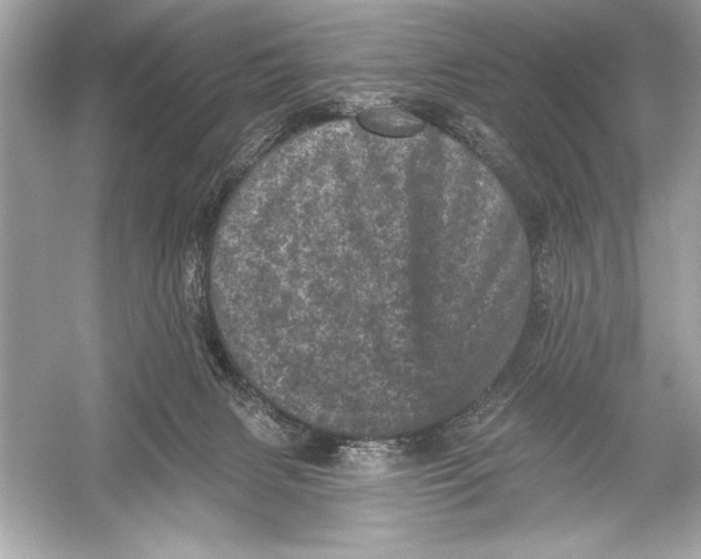 X0000051890079200507222027