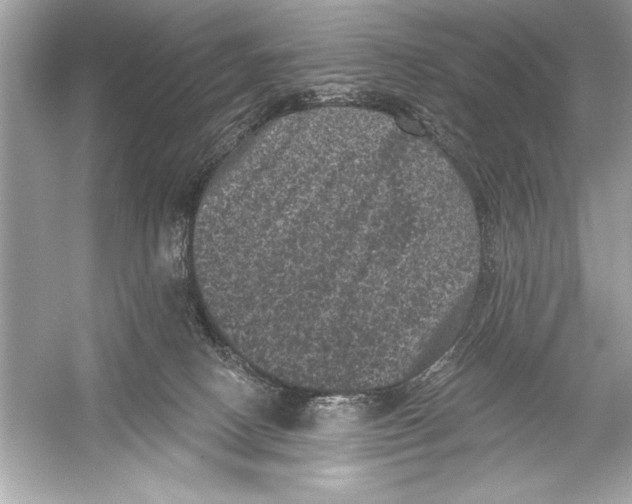 X0000051890082200507222027