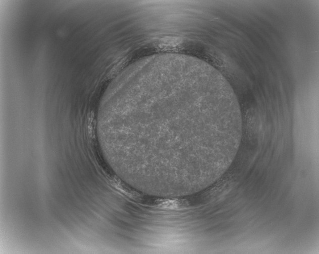 X0000051890083200507222027