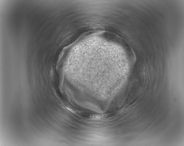 X0000051890084200507222027