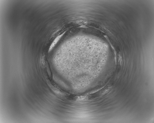 X0000051890088200507222027