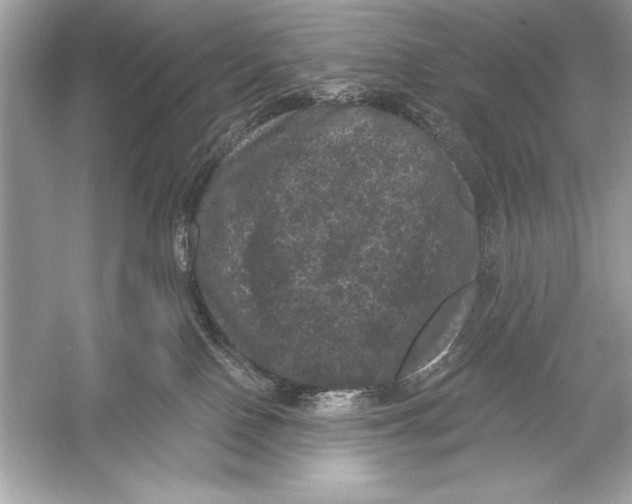 X0000051890090200507222027