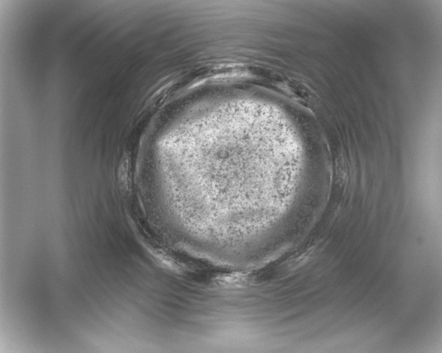 X0000051890092200507222027