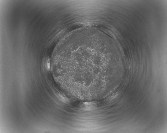 X0000051890095200507222027