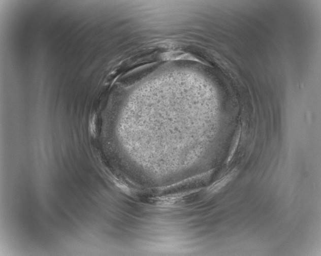 X0000051890096200507222027