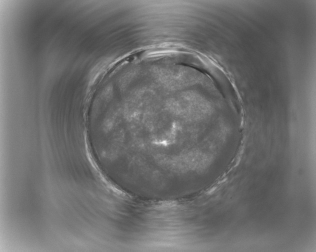 X0000051890097200507222026