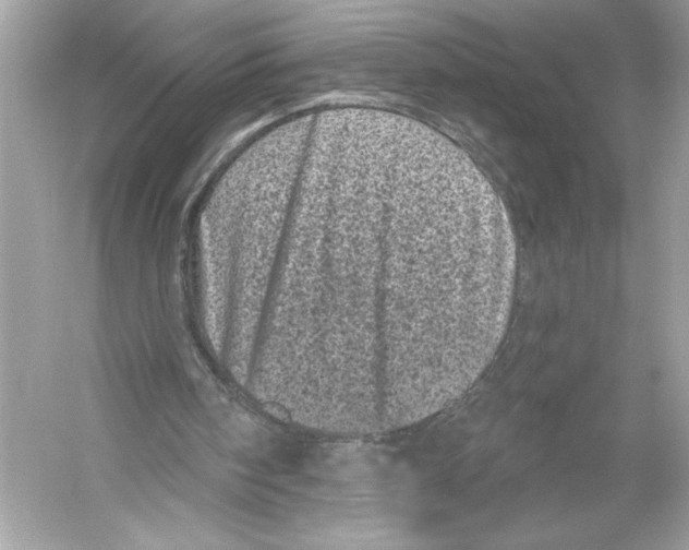 X0000051890098200507222026