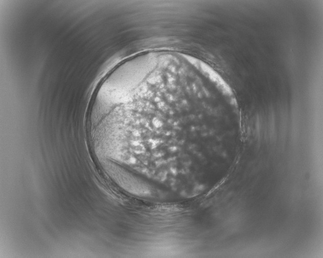 X0000051890099200507222026