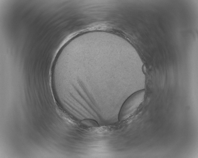 X0000051890100200507222026