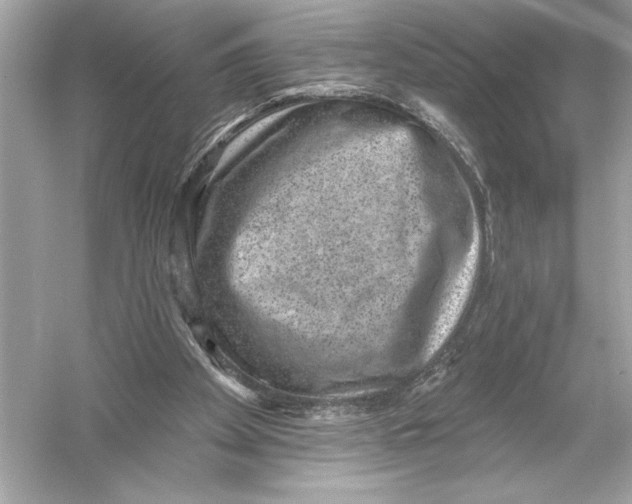 X0000051890105200507222026