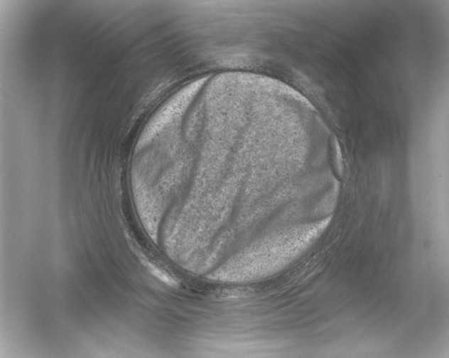 X0000051890106200507222026