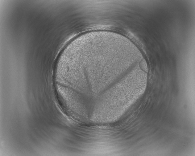 X0000051890107200507222026