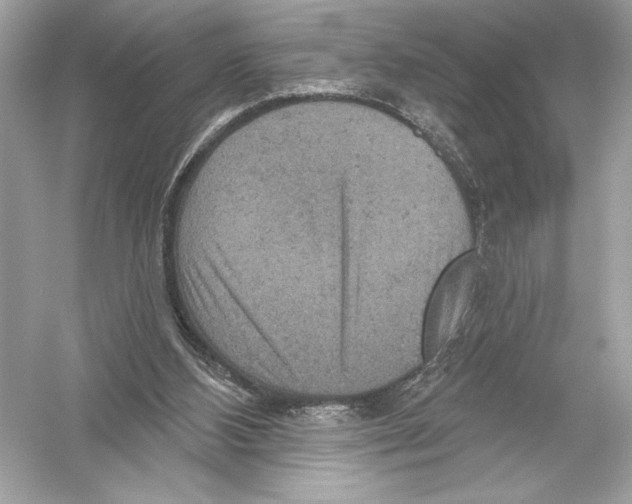 X0000051890108200507222026