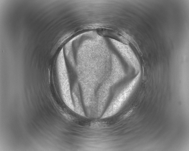 X0000051890109200507222026