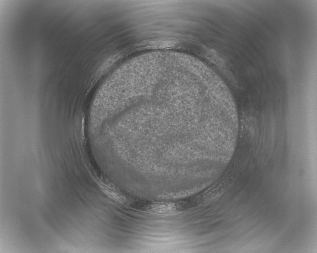 X0000051890110200507222026