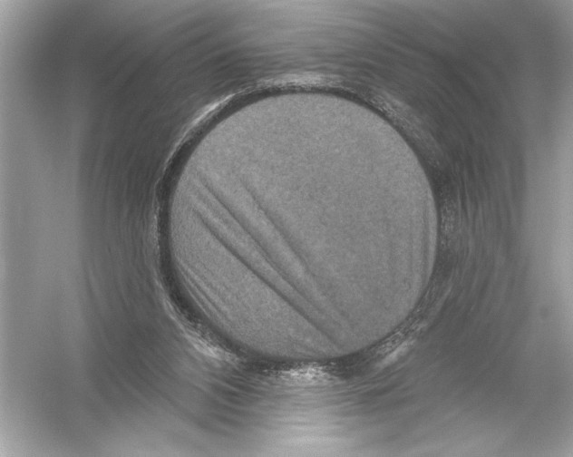 X0000051890112200507222026