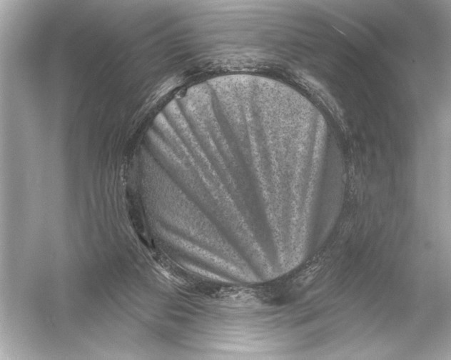 X0000051890113200507222026