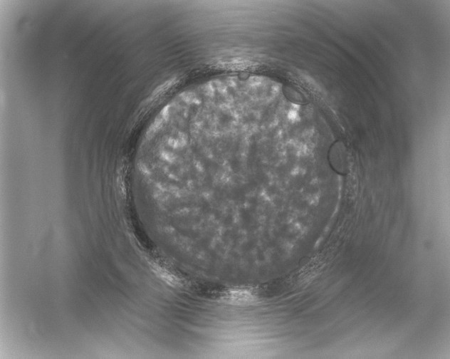 X0000051890114200507222026