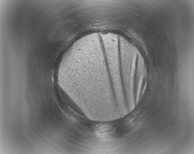 X0000051890115200507222026