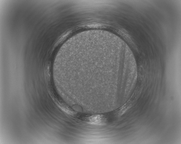 X0000051890116200507222026