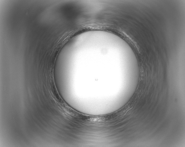 X0000051890117200507222026