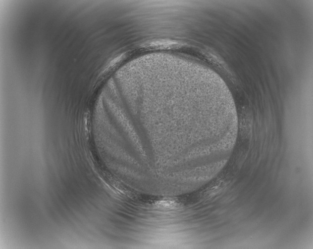 X0000051890119200507222026