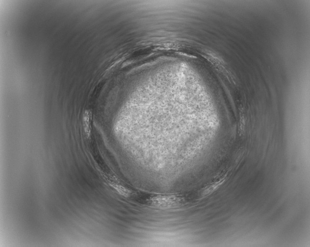 X0000051890121200507222026