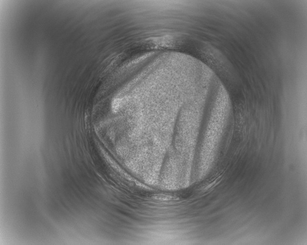 X0000051890123200507222026