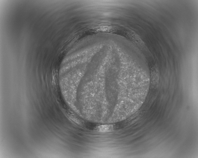 X0000051890126200507222026