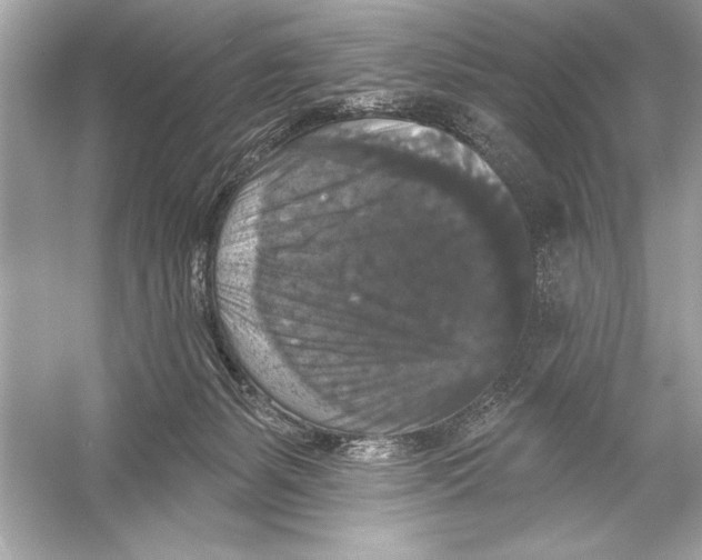 X0000051890127200507222026