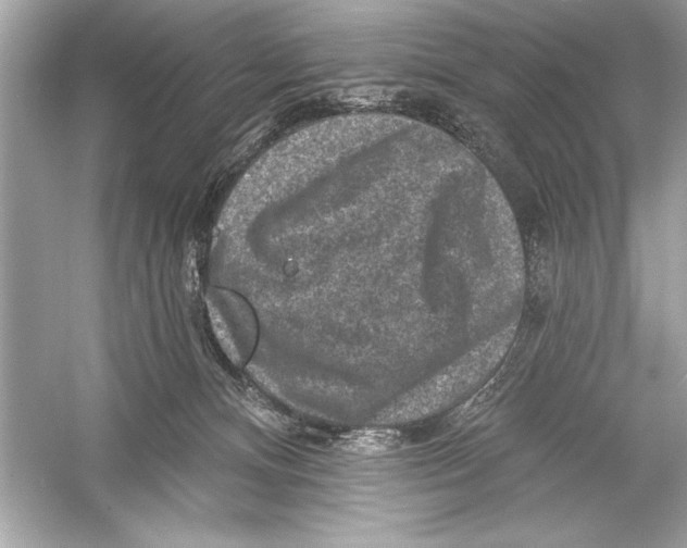 X0000051890128200507222026