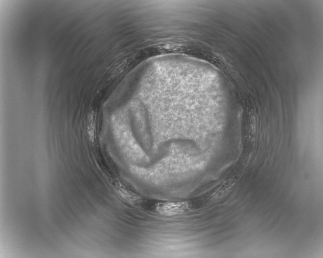 X0000051890129200507222026