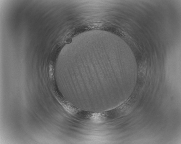 X0000051890130200507222026