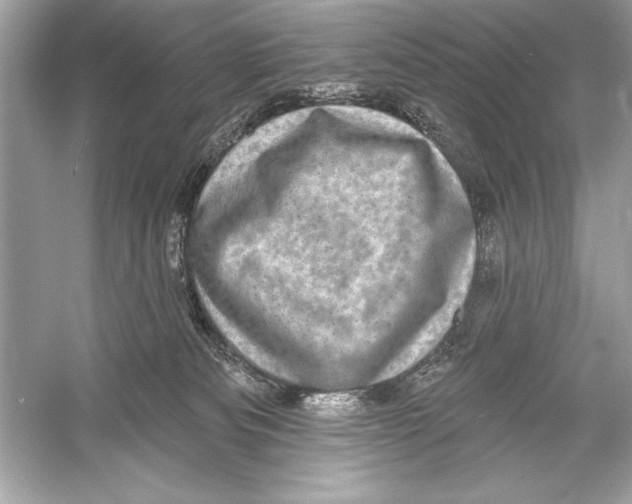 X0000051890133200507222026