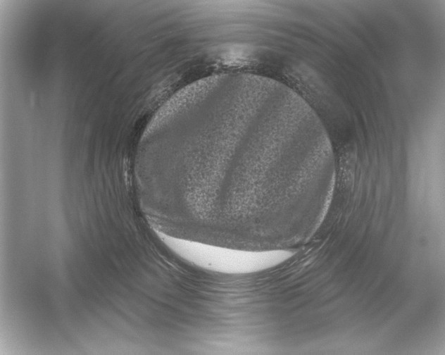 X0000051890135200507222026