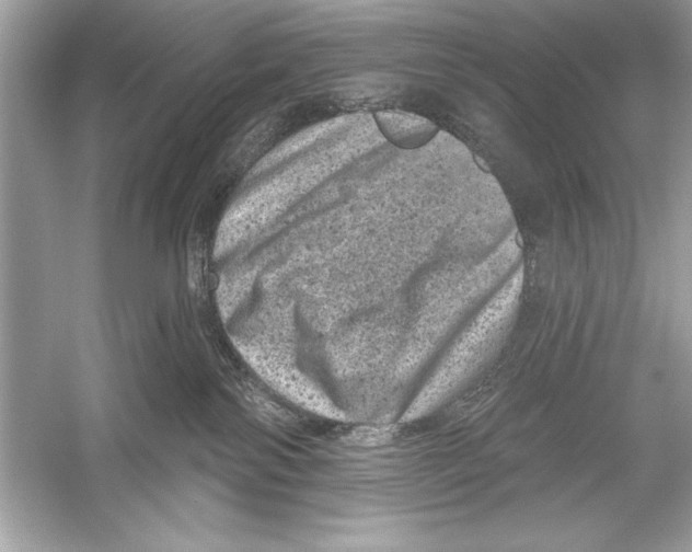 X0000051890138200507222026