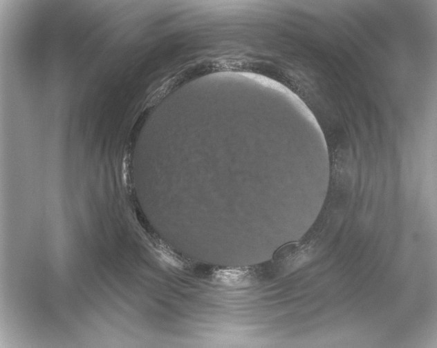 X0000051890139200507222026