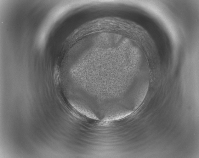 X0000051890142200507222025